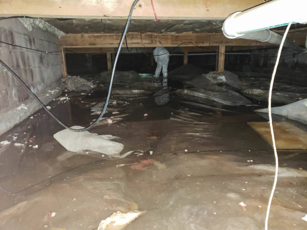 Commercial Water Damage Restoration